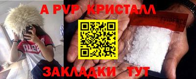 стафф Партизанск