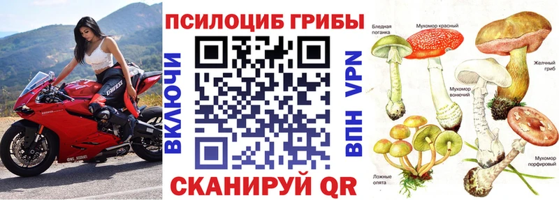 ссылка на мегу tor  Советский  Псилоцибиновые грибы GOLDEN TEACHER  продажа наркотиков 
